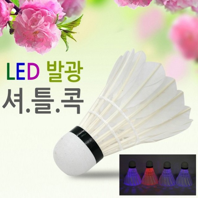 온온공 이미지