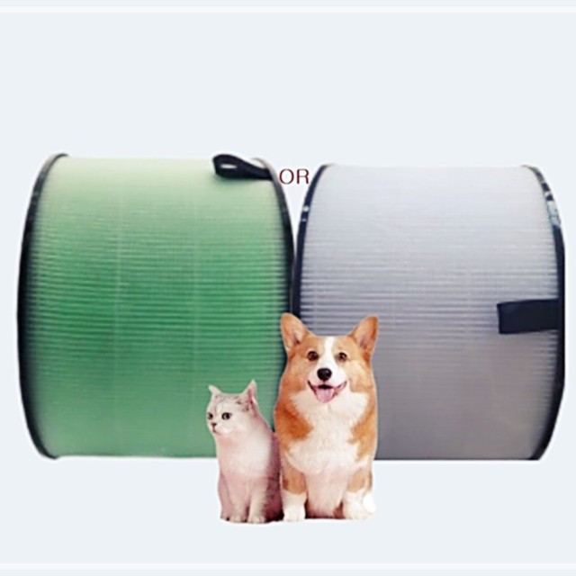 필DNP 이미지
