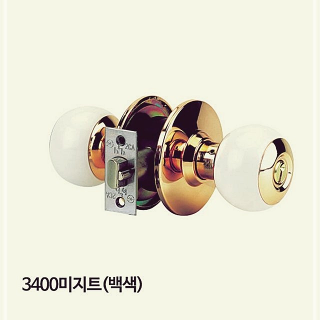 미지트 이미지