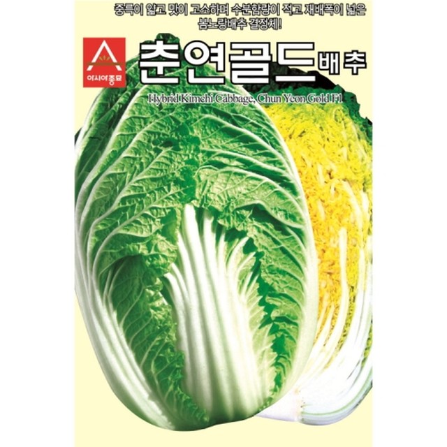 춘연 이미지