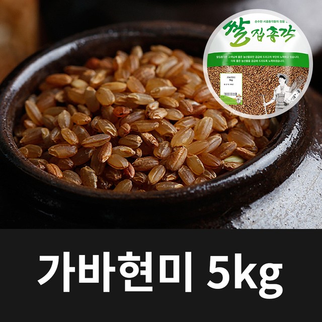 흙애서 이미지