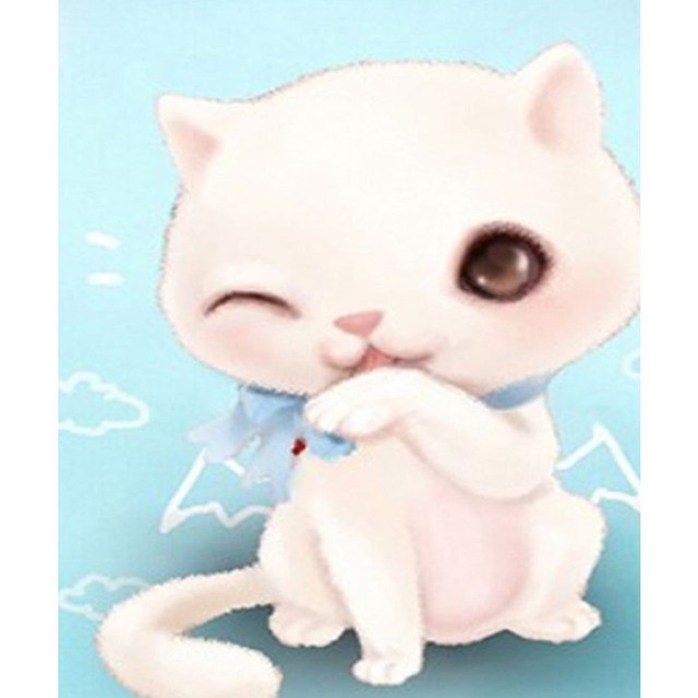 케이엠 이미지