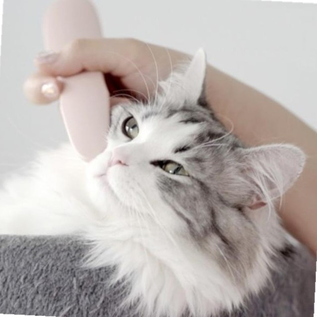 그르릉 이미지