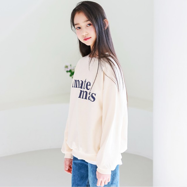 아마떼 이미지