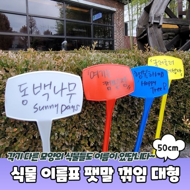 식물A 이미지