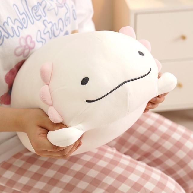 루이 이미지