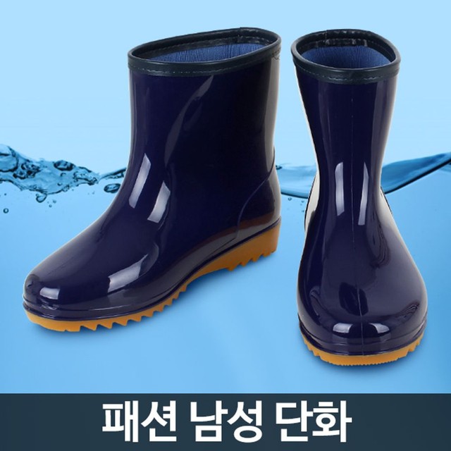 보생 이미지