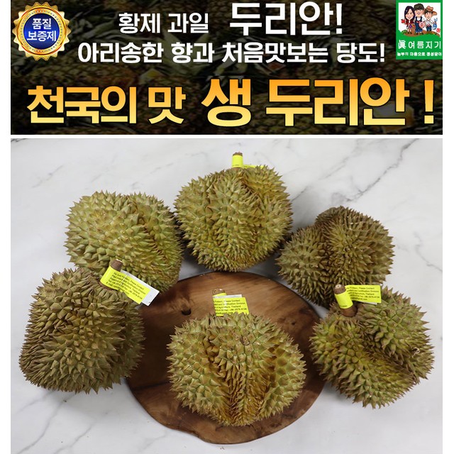 에바다 이미지