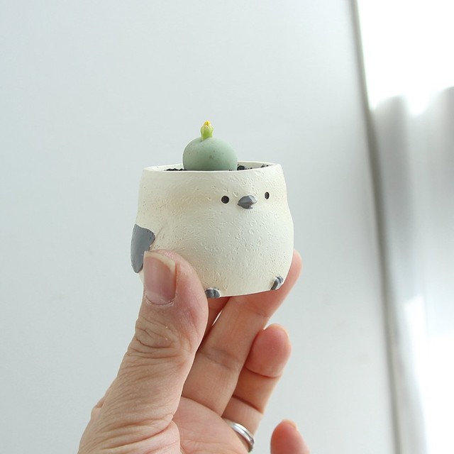 더봄 이미지