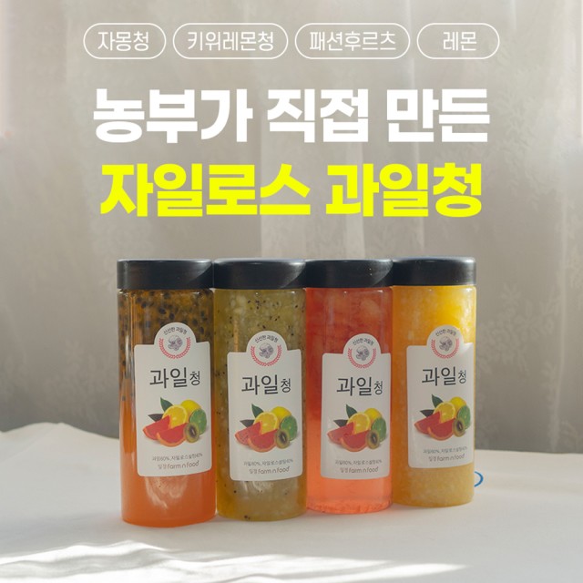 오렌지나무 이미지