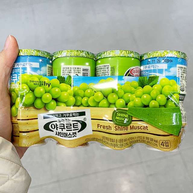 에이치와이 이미지