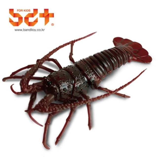 반디기타 이미지