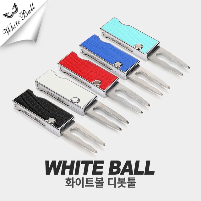 디지지에스 이미지