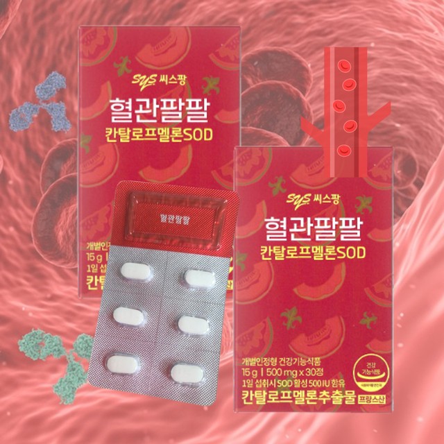 (주)씨스팡 이미지