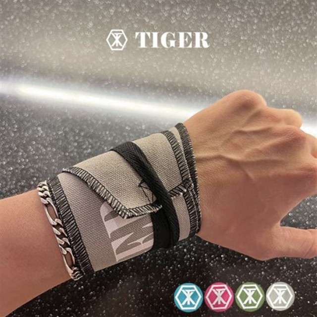 타이거엑스 이미지