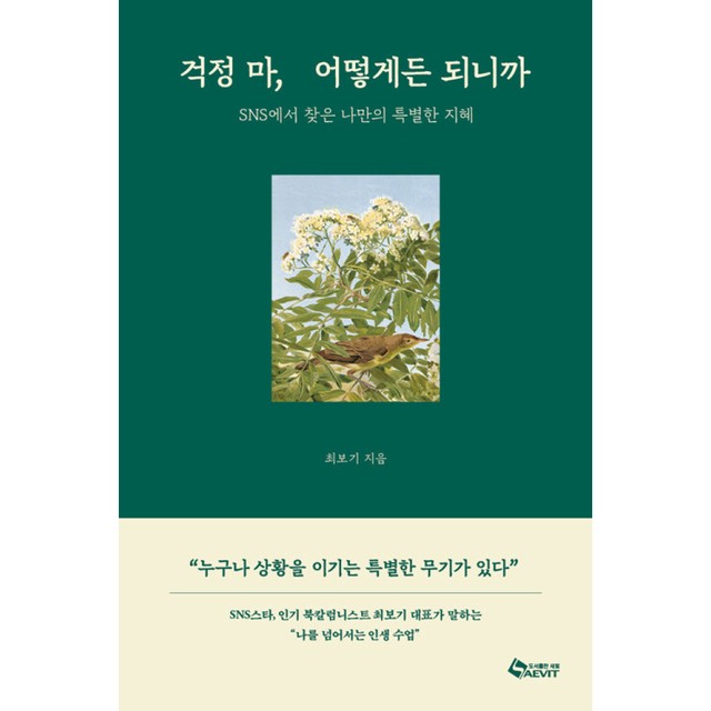 새빛 이미지