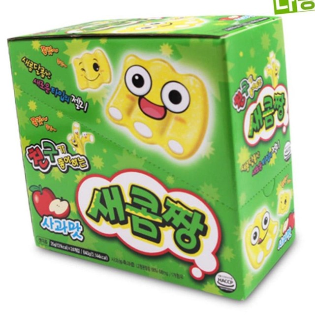 카루 이미지