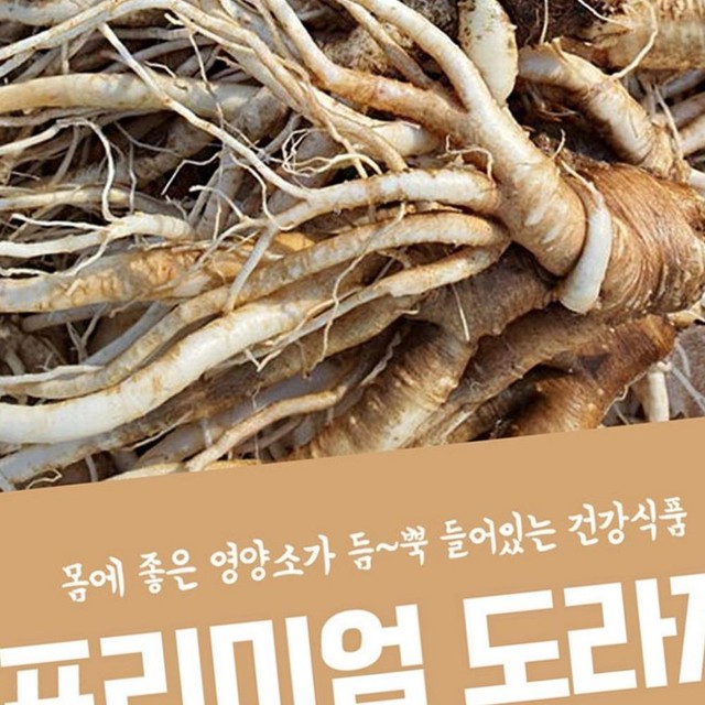 고씨네 이미지