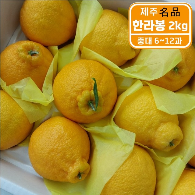 주식회사 오렌지팜 이미지
