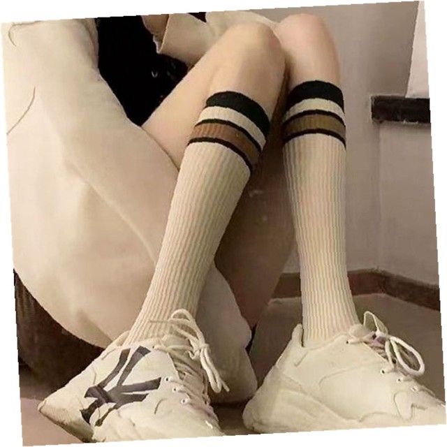 씨와이 이미지