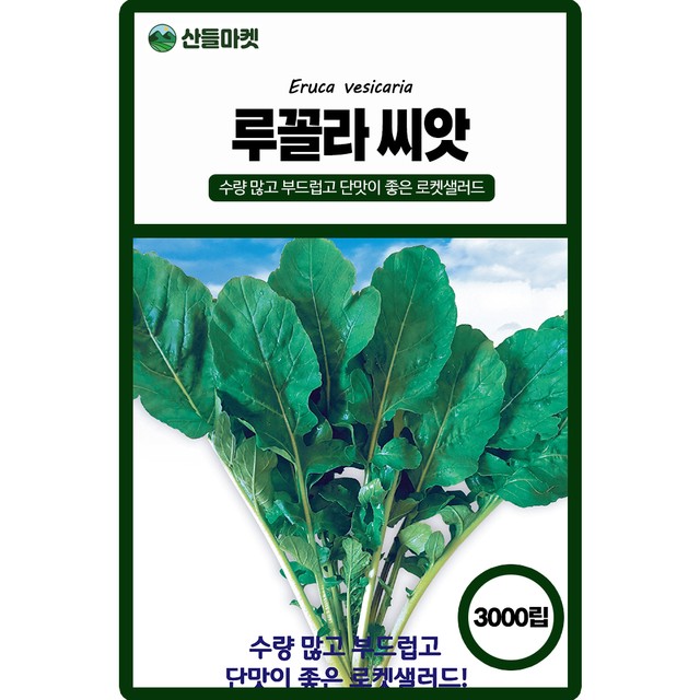 주식회사 샐러드 이미지