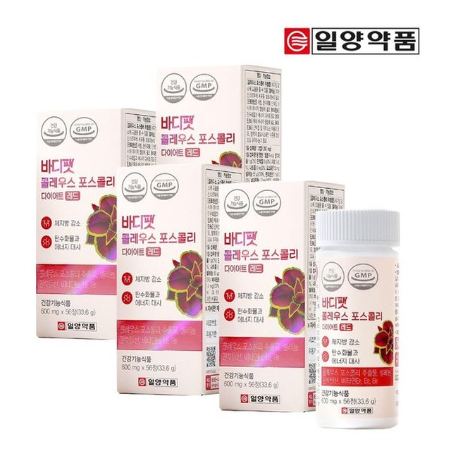 일양 이미지