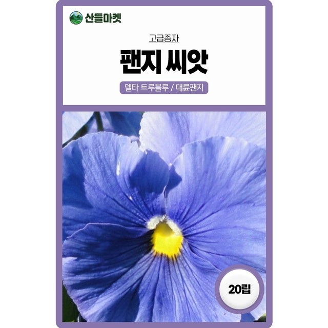 주식회사 블루씨 이미지