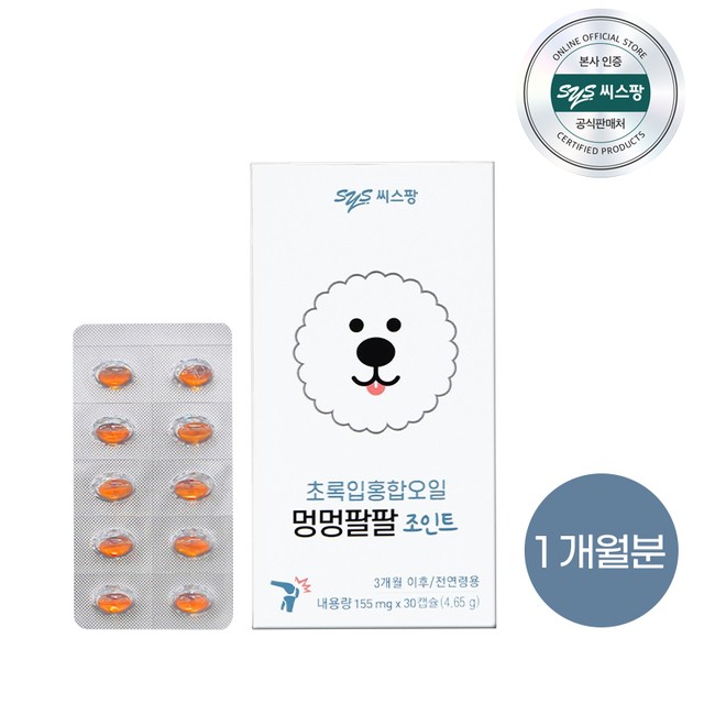 (주)씨스팡 이미지