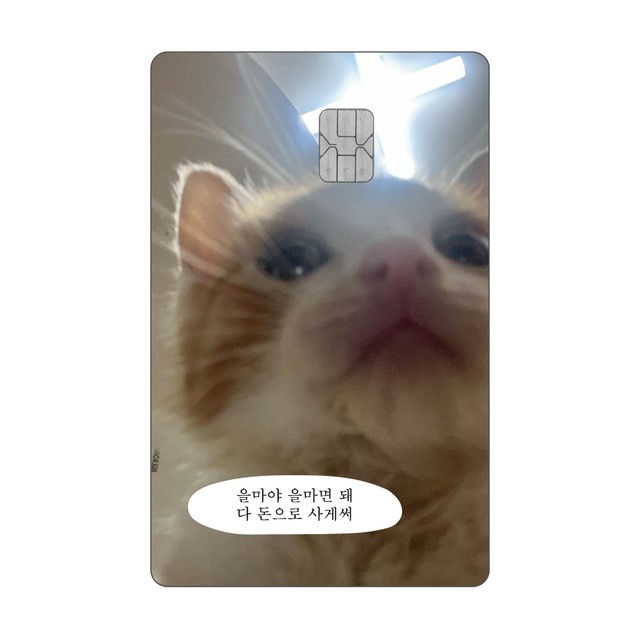 사바이 이미지