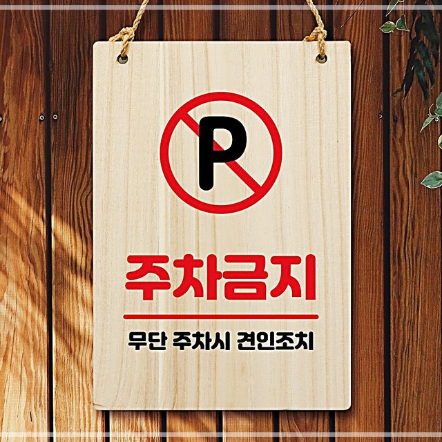 나무206 이미지