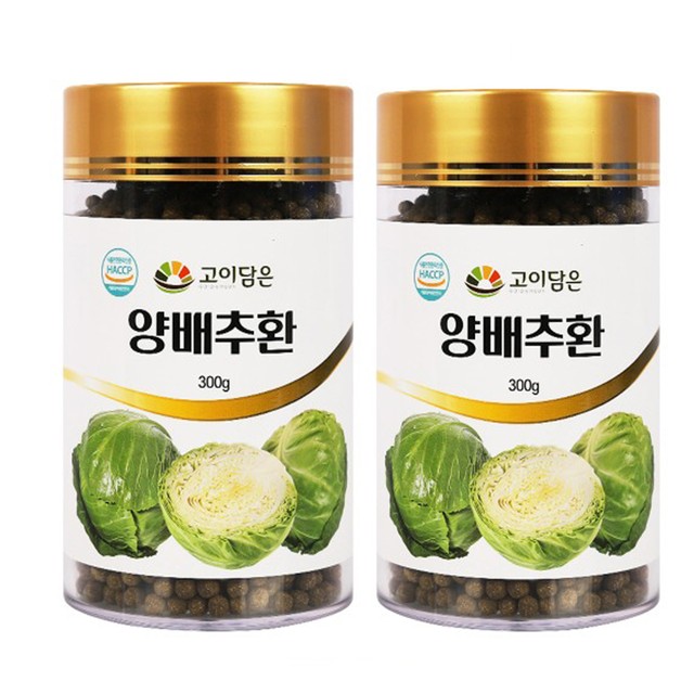 고이 이미지