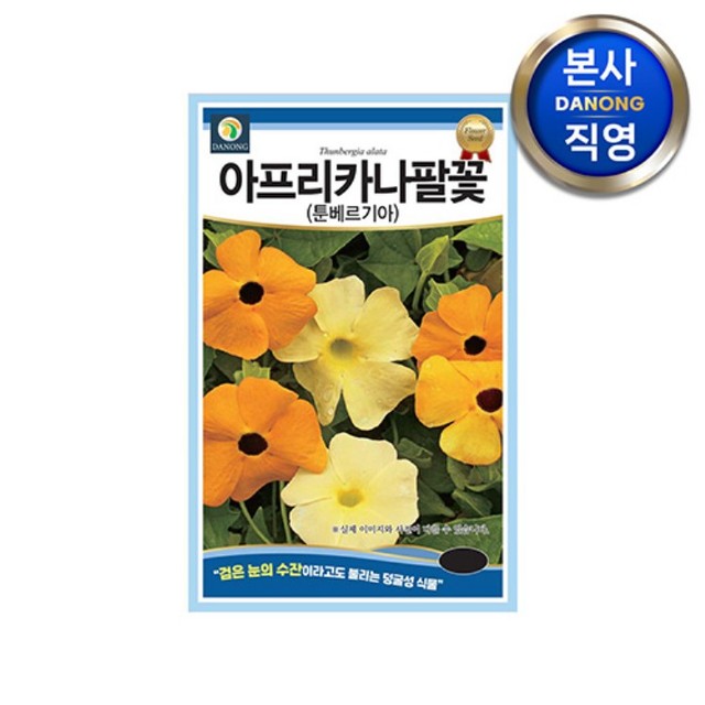 다농 이미지