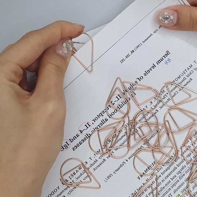 페이퍼로즈 이미지