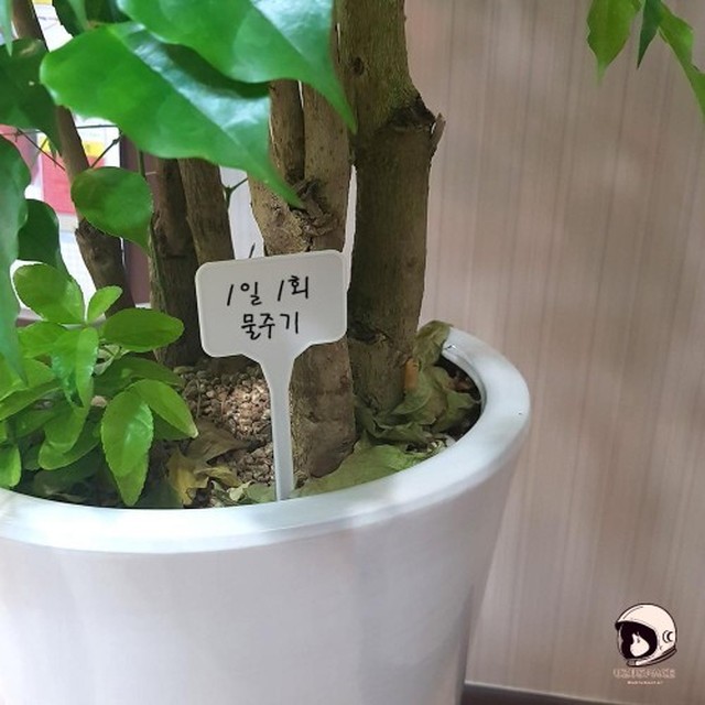 싸인어스 이미지