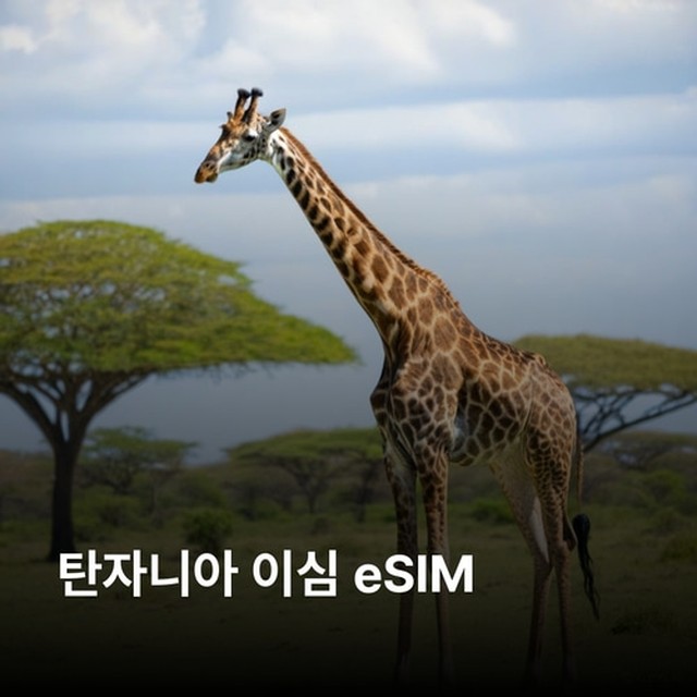 (주)뜨거운청춘 이미지