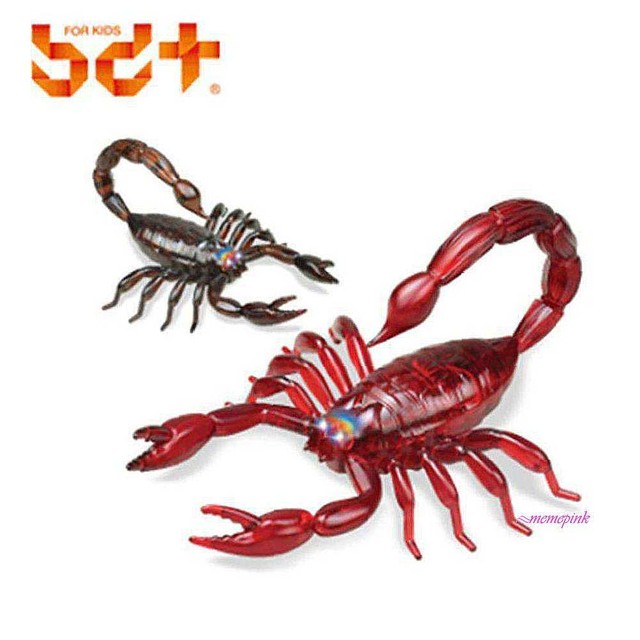 전갈샵 이미지