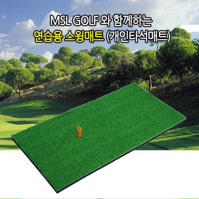 엠에스엘 이미지