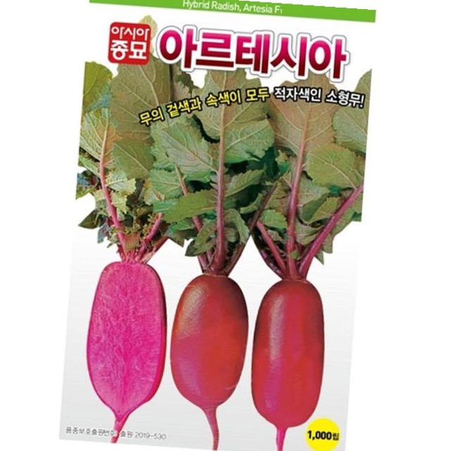 샐러립 이미지