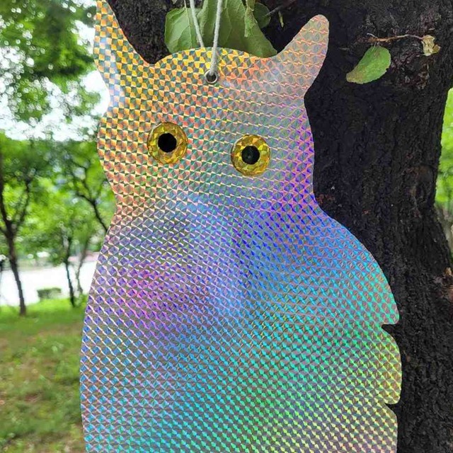 와이낫몰 이미지