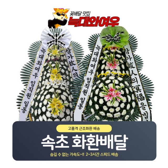 속초동해장례식장 이미지