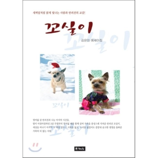 꼬실이 이미지