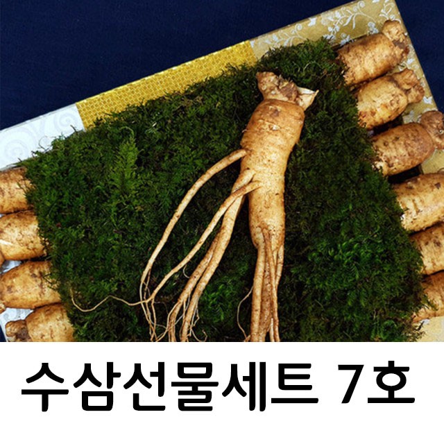 주)한국산삼공사 이미지