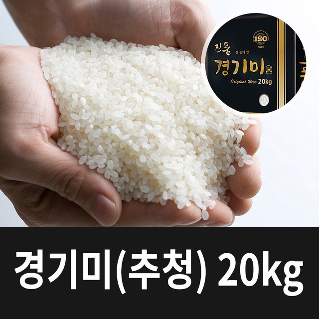 흙애서 이미지