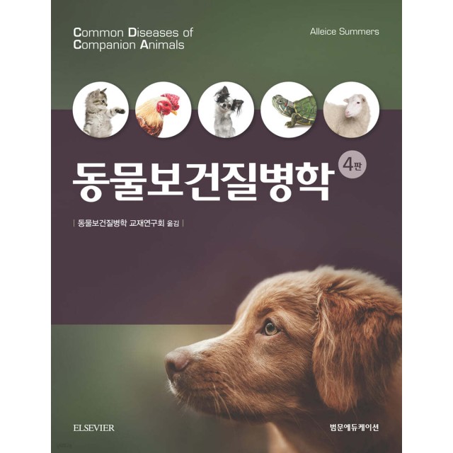 에듀케이션 이미지