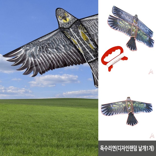 연 이미지