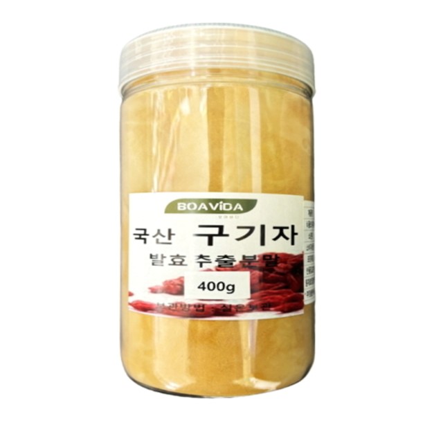 비다보아 이미지