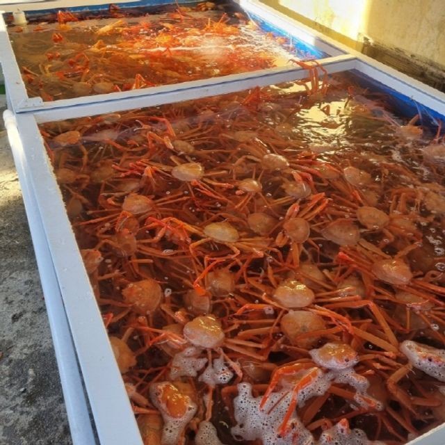 박달수산 이미지