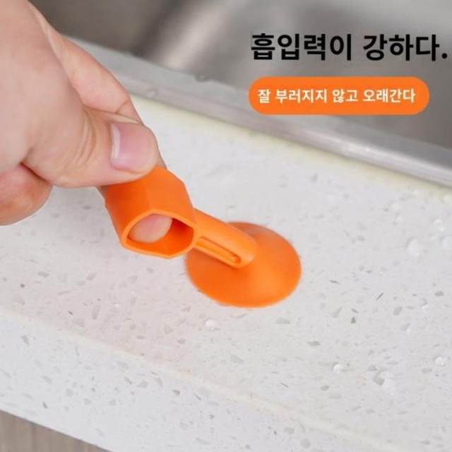 스프링래빗 이미지