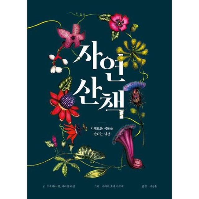 보림 이미지