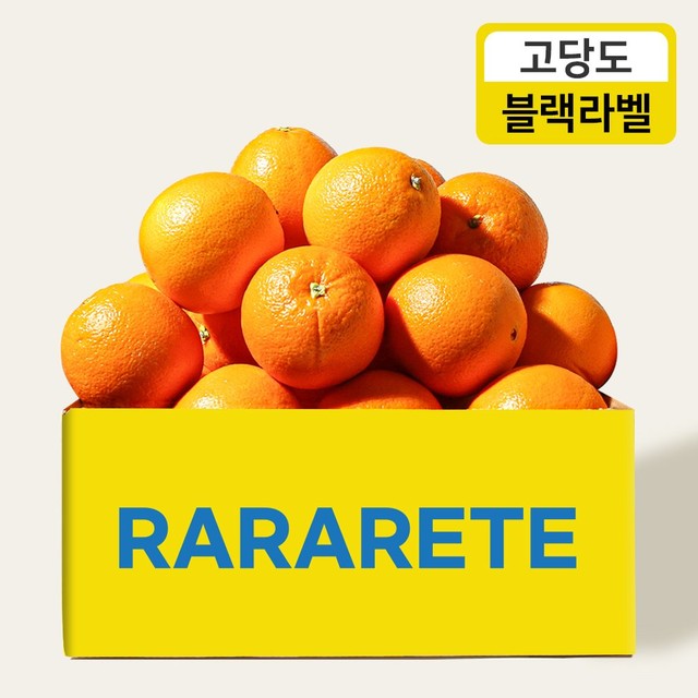 오렌지 이미지